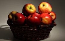 apples 2560x1600 wallpaper 